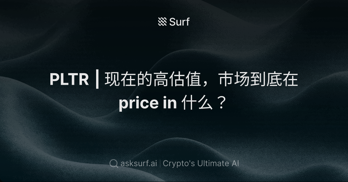 PLTR｜现在的高估值，市场到底在 price in 什么？
